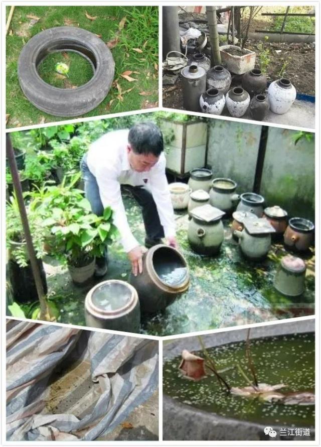 长沙市盈泰有害生物防治有限公司,长沙生物防治工作