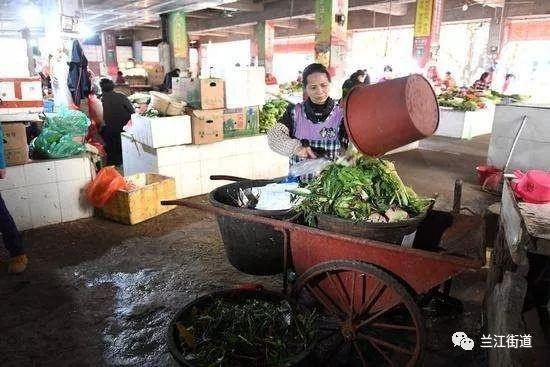 长沙市盈泰有害生物防治有限公司,长沙生物防治工作