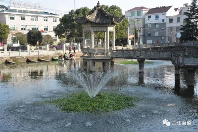 长沙市盈泰有害生物防治有限公司,长沙生物防治工作